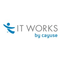 Information Technology Works, Inc. Logo
