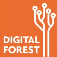 DIGITAL FOREST Logo
