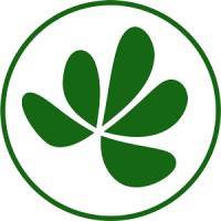 Little Forest Logo