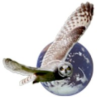 New Way Learning Services Logo