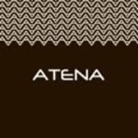 Atena S.p.A. Formazione Logo