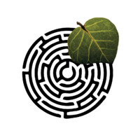 Podivium Logo