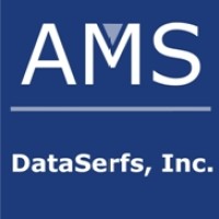 AMS DataSerfs, Inc. Logo