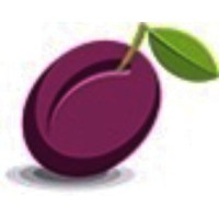 Plum Recruitment Ltd (Plum Personnel) Logo