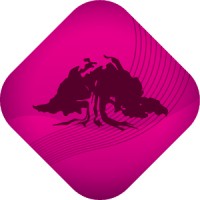 SPAREBANKEN DIN Logo