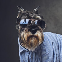 PIP Printing Hereford Logo