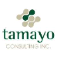 Tamayo Consulting, Inc. Logo