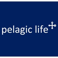 Pelagic Life - Protección y Conservación Pelágica AC Logo