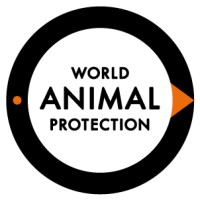 World Animal Protection Australia Logo