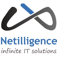 Netilligence Business System LLC Logo
