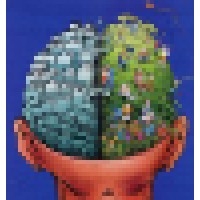 MashBrain Consulting LLC Logo