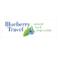 Blueberry Travel Logo
