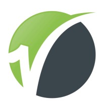 Visigon Logo