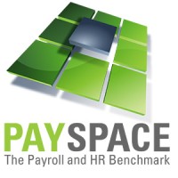 PaySpace Logo