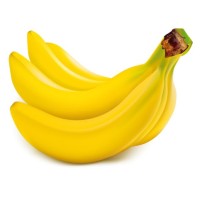 Smart Monkey Marketing Ltd Logo