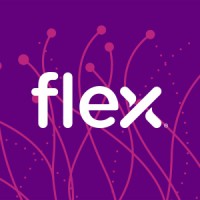 Flex Logo