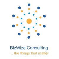 BizWize Solutions Logo