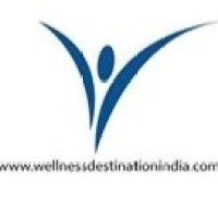 Wellness Destination India (WDI Medical Tourism and Research Pvt. Ltd) Logo