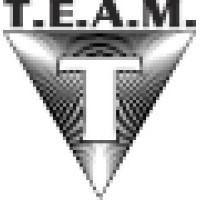 TEAM Security Logo