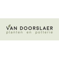 Planten en Potterie Van Doorslaer Logo