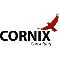 Cornix Consulting AS Logo