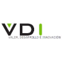 VDI Valor Desarrollo e Innovación Logo