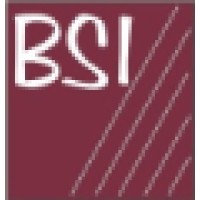 BSI (Business Systems, Inc.) Logo