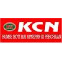 KCN Group India Logo
