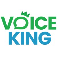 VoiceKing Logo