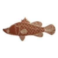 FISH - Foundation for Indigenous Sustainable Health Logo