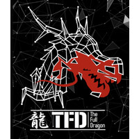TFD CONSULTING GROUP Logo