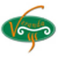 The Sasan Kazeroini Group S.P.C. Logo