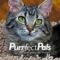Purrfect Pals Cat Sanctuary and Adoption Centers Logo