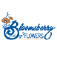 Bloomsberry Flowers Logo