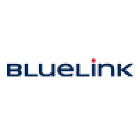BlueLink International CZ Logo