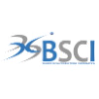 Blanco Silva Consultoría Informática - BSCI - Logo