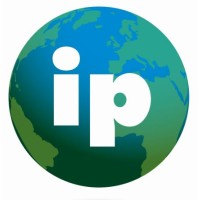 International Plywood Logo