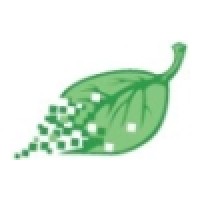 Fresh Digital Presence Logo