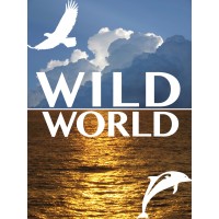 WildWorld B.V. Logo