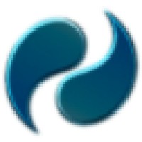 Neer Systems Logo
