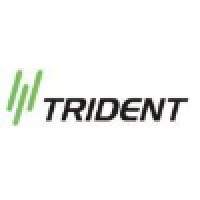 Trident International P Ltd Logo