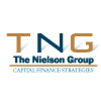 TNG The Nielson Group Logo