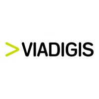 Viadigis Logo