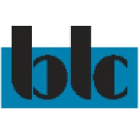 Bruce L Comins Professional Estimating Services Logo