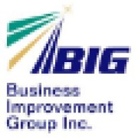 BIG Financial and Advisory Services - Business Improvement Group Logo
