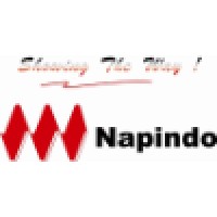 PT. Napindo Media Ashatama Logo