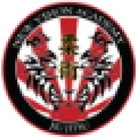 New Vision Academy of Jiu Jitsu Logo
