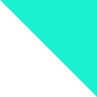 Page\Park Architects Logo