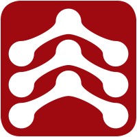 Spinal Elements Logo