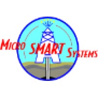 Micro-Smart Systems Logo